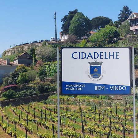 Villa Casa Ceci Douro Cidadelhe  Esterno foto