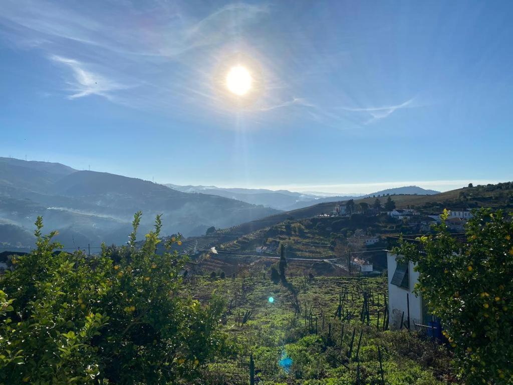 Villa Casa Ceci Douro Cidadelhe  Esterno foto